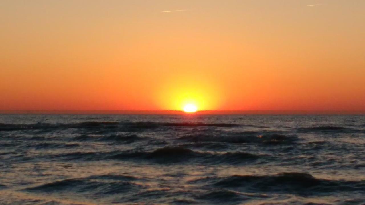 Malibu Beach كوكسيجدي المظهر الخارجي الصورة